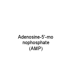 Adenosine-5'-monophosphate (AMP)